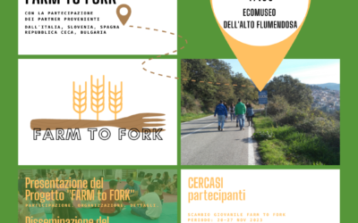 “Farm to fork”: a Seulo uno Scambio giovanile su longevità e alimentazione sana